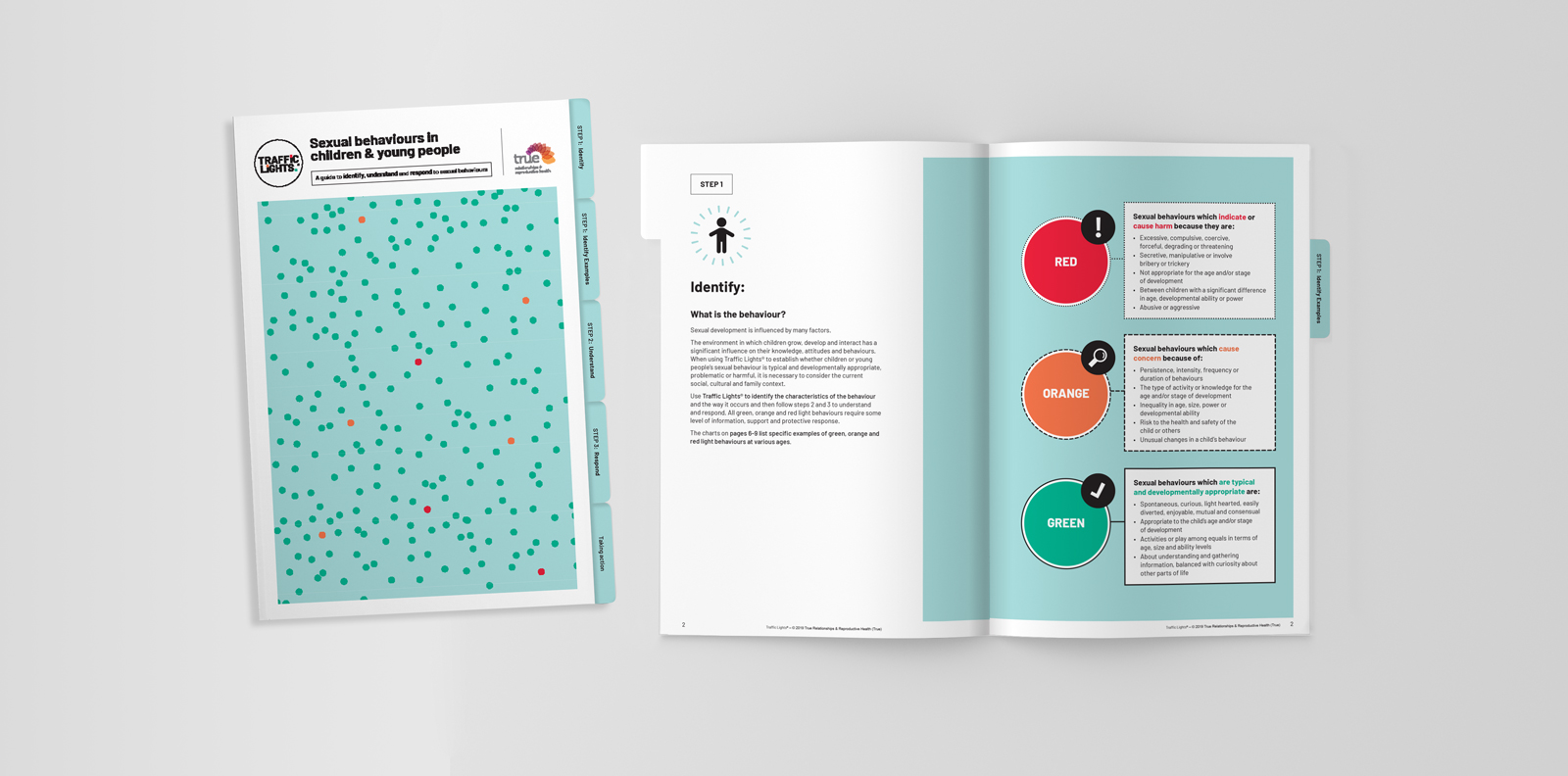 Image of cover and inside page of Traffic Lights booklet